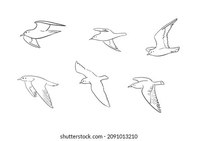 Set of hand-drawn seagulls outlines. Vector illustration of flying birds isolated on white background.  Sketch drawing in a minimalist style. 