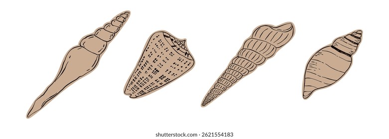 Conjunto de conchas desenhadas à mão. Ideal para projetos de praia, oceanos, marinhos ou de verão