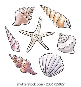 Set of hand-drawn seashells and starfish