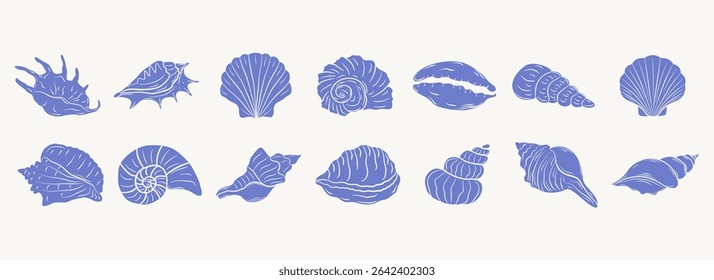 Set of hand-drawn seashells. Tropical beach shells. Summer vacation design elements. Vector