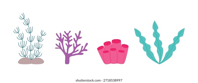 A set of hand-drawn seaweed and corals. Vector illustration on a white background.