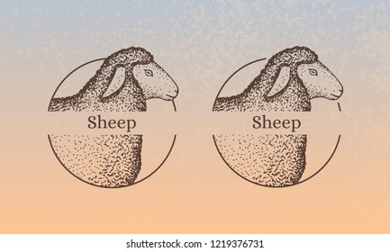Set of hand-drawn signs of the sheep with word: "sheep". Engraving style. The idea of the stamp. Isolated on background. Vector.