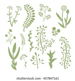 Set of hand-drawn silhouette of branches with leaves and berries. Vector graphics.