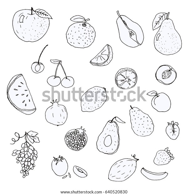 Set Handdrawn Sketch Fruits Berries Vector Stock Vector (Royalty Free ...
