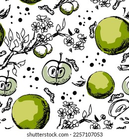 A set of hand-drawn sketches with apples and leaves. Vector illustrations with whole and cut fruits. Collection of isolated objects on a white background 