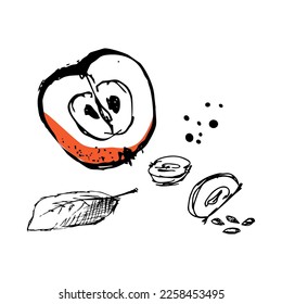 A set of hand-drawn sketches with apples and leaves. Vector illustrations with whole and cut fruits. Collection of isolated objects on a white background 