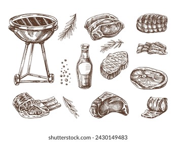 Conjunto de bocetos dibujados a mano de elementos de barbacoa. Para el diseño del menú de restaurantes y cafeterías, comida a la parrilla. Ilustración vintage de Doodle. Imagen grabada.