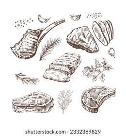 A set of hand-drawn sketches of barbecue meat pieces with herbs and seasonings. For the design of the menu of restaurants and cafes, steaks. Vintage doodle illustration. The engraved image.