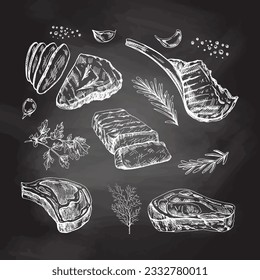 A set of hand-drawn sketches of barbecue meat pieces with herbs and seasonings on chalkboard background. For the design of the menu of restaurants and cafes, steaks. 