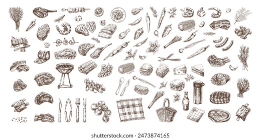 Set of hand-drawn sketches of barbecue and picnic elements, meat. For the design of the menu of restaurants, grilled food. Doodle vintage illustration. Engraved image.