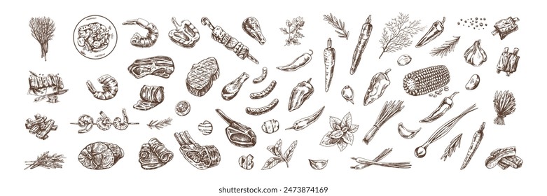 Set of hand-drawn sketches of barbecue and picnic elements, meat. For the design of the menu of restaurants and cafes, grilled food. Doodle vintage illustration. Engraved image.