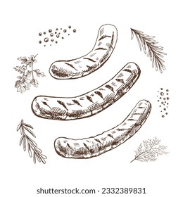 A set of hand-drawn sketches of barbecue sausages with herbs and seasonings. For the design of the menu of restaurants and cafes, grilled sausages. Vintage doodle illustration. The engraved image.