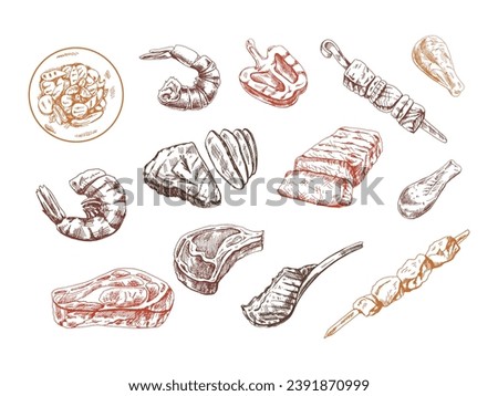 A set of hand-drawn sketches of different types of meat, steaks, shrimp, chicken, grilled vegetables, barbecue. Doodle vintage illustration. Engraved image.