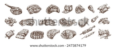 Set of hand-drawn sketches of different types of meat, steaks, chicken, kebabs, bacon, tenderloin, pork, beef, ham, barbecue. Vintage illustration on white background. 