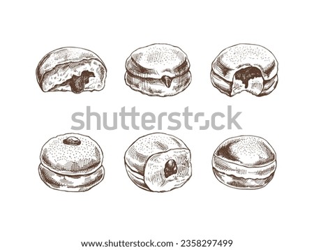 A set of hand-drawn sketches of a traditional German or Polish donut with jam, dusted. Vintage illustration. Pastry sweets, dessert. Element for the design of labels, packaging and postcards.