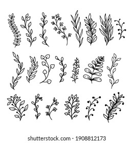 Set Hand-Drawn Sketchy Doodles of Leaves, Plants, and Flowers Vector Illustration