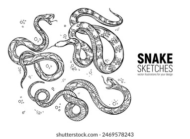 Set of hand-drawn snake sketches. Sketch, design, template for posters, prints, stickers and other printing