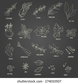 Set of hand-drawn spices: bay, leaf, anis, clove, poppy, cinnamon, parsley, nutmeg, basil,vanilla, ginger, mint, cardamom, lemongrass, oregano, marjoramrosemary, celery, thyme, fennel, tarragon,