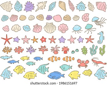 Set of hand-drawn style illustrations of various sea creatures