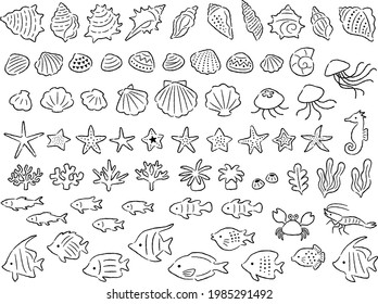 A set of hand-drawn style line illustrations of various sea creatures