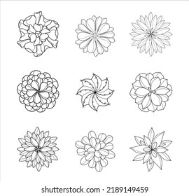 Set of Hand-drawn Succulent Top View Illustrations 