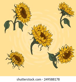 Set of hand-drawn sunflowers