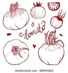 A set of hand-drawn tomatoes. Stylized tomatoes. Half of tomato seeds.
