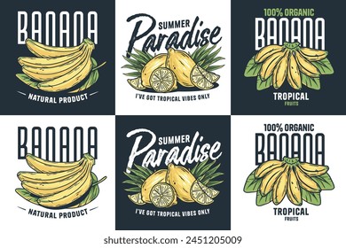 Set of hand-drawn tropical fruit designs featuring bananas and lemons with stylish typography. Fruits or exotic eco elements for vegetarian menu. Organic nature ingredients for food market.