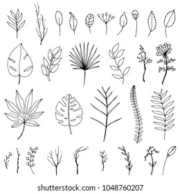 set of hand-drawn tropical leaves