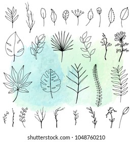 set of hand-drawn tropical leaves