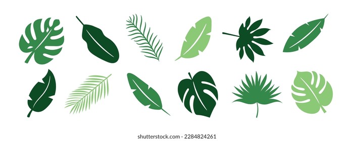 A set of hand-drawn tropical leaves on a white background