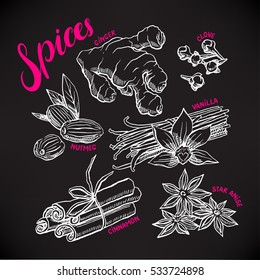 Set with hand-drawn various spices on a black background. star anise, ginger and nutmeg. hand-drawn illustration