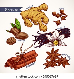 Conjunto com várias especiarias desenhadas à mão. anis estrelado, gengibre e noz-moscada. ilustração desenhada à mão