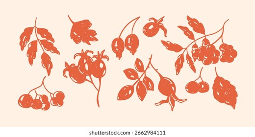 conjunto de bagas de vetor desenhadas à mão usando um lápis ou caneta, giz de cera. Design moderno para impressão, cartões postais e têxteis