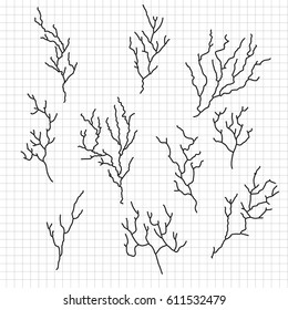 Set of Hand-drawn vector branches on checked paper background.