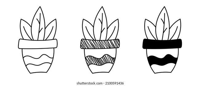 Juego de vectores dibujados a mano Flor maceta con hojas en estilo de dibujos animados de doodle.