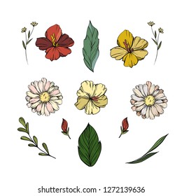 Set of hand-drawn vector flowers.