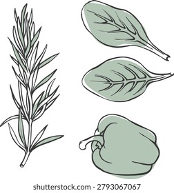 A set of hand-drawn vector illustrations of herbs and vegetables: minimalist line drawings of rosemary sprigs, spinach leaves, and green bell peppers. Suitable for packaging, menus, or healthy eating information.