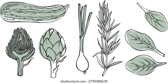 A set of hand-drawn vector illustrations of vegetables and herbs, including outline drawings of zucchini, artichokes, green onions, rosemary, and spinach.