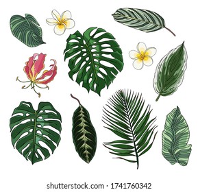 Set of hand-drawn vector tropical leaves and flowers. 

