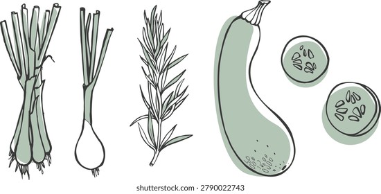 A set of hand-drawn vector vegetable illustrations: line drawings of green onions, rosemary, and zucchini for food branding and menu design.