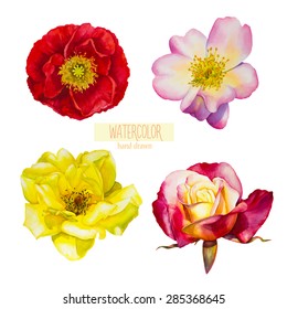 Set of hand-drawn vector watercolor flowers Isolated on a white background. Roses and poppy