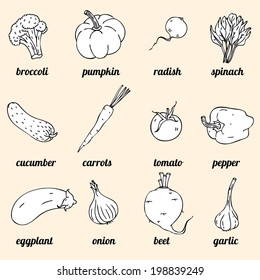 Set of hand-drawn vegetables