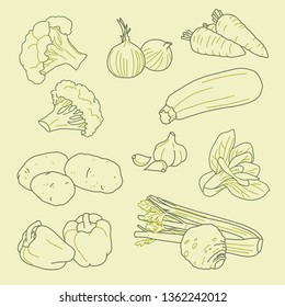 Set of hand-drawn vegetables, organic, healthy food, vector