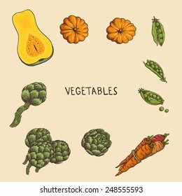 Set of hand-drawn vegetables: pumpkin, artichoke, carrots and peas.  