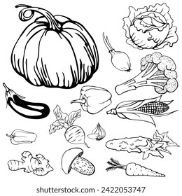 Set of hand-drawn vegetables, silhouettes, stickers. Vector illustration