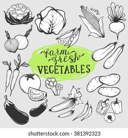 Set of hand-drawn vegetables for your design.