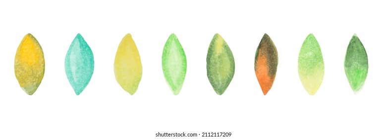 Set of hand-drawn watercolor leaves. Design elements. Vector illustration