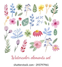 Set of hand-drawn watercolor natural elements: flowers, leaves, branches and buds