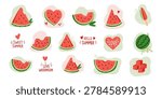 Set of hand-drawn watermelon illustrations: sliced ​​watermelon, heart-shaped watermelon, whole watermelon, fruit platter, ice cream, summer beach food, and beach dishes.